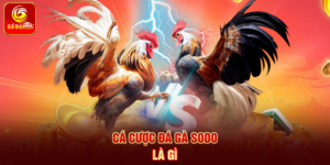 Cá Cược Đá Gà Sodo là gì