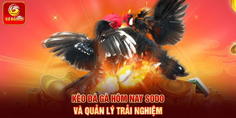 Kèo Đá Gà Hôm Nay Sodo và quản lý trải nghiệm