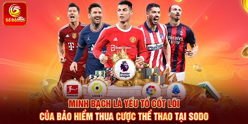 Minh bạch là yếu tố cốt lõi của bảo hiểm thua cược thể thao tại Sodo