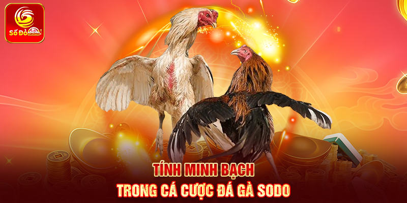 Tính minh bạch trong Cá Cược Đá Gà Sodo