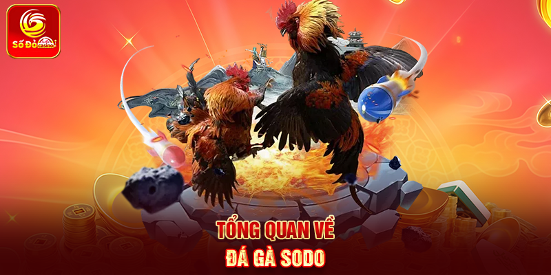 Tổng quan về Đá Gà Sodo