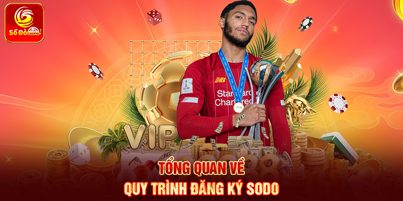 Tổng quan về quy trình Đăng Ký Sodo